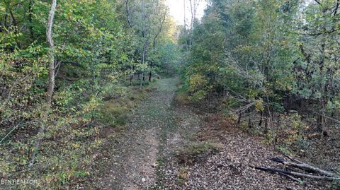 Tiny photo for 000 Geren Subdivision Lane, Decatur, TN 37322 (MLS # 1319402)