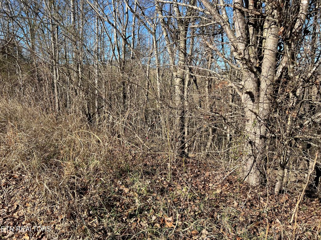 Photo of Baldwin View Drive, New Market, TN 37820 (MLS # 1326352)