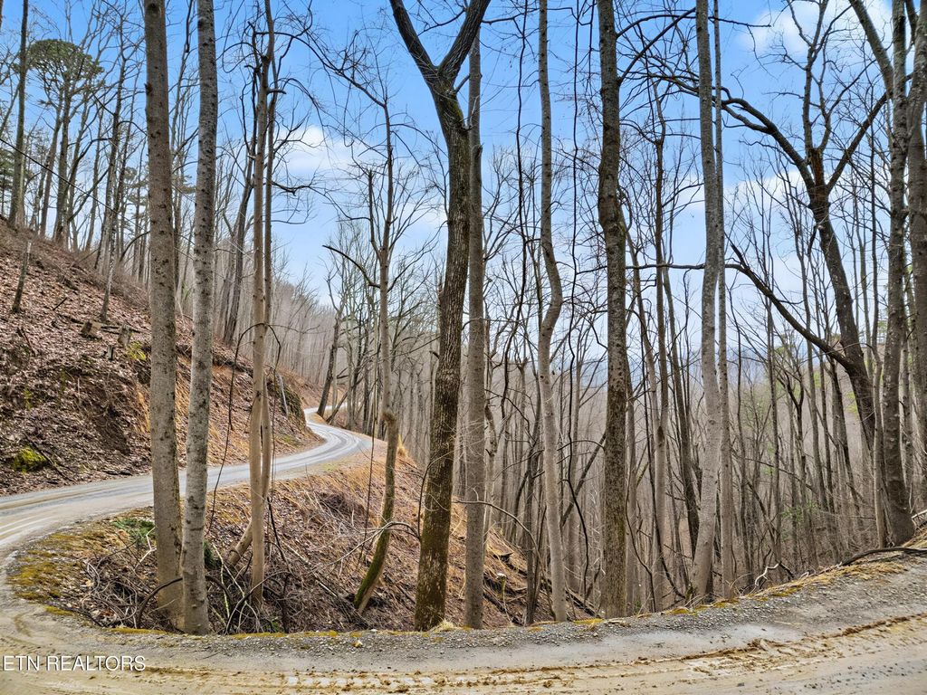 Photo of Sugar Maple Loop Rd, Sevierville, TN 37862 (MLS # 1330668)