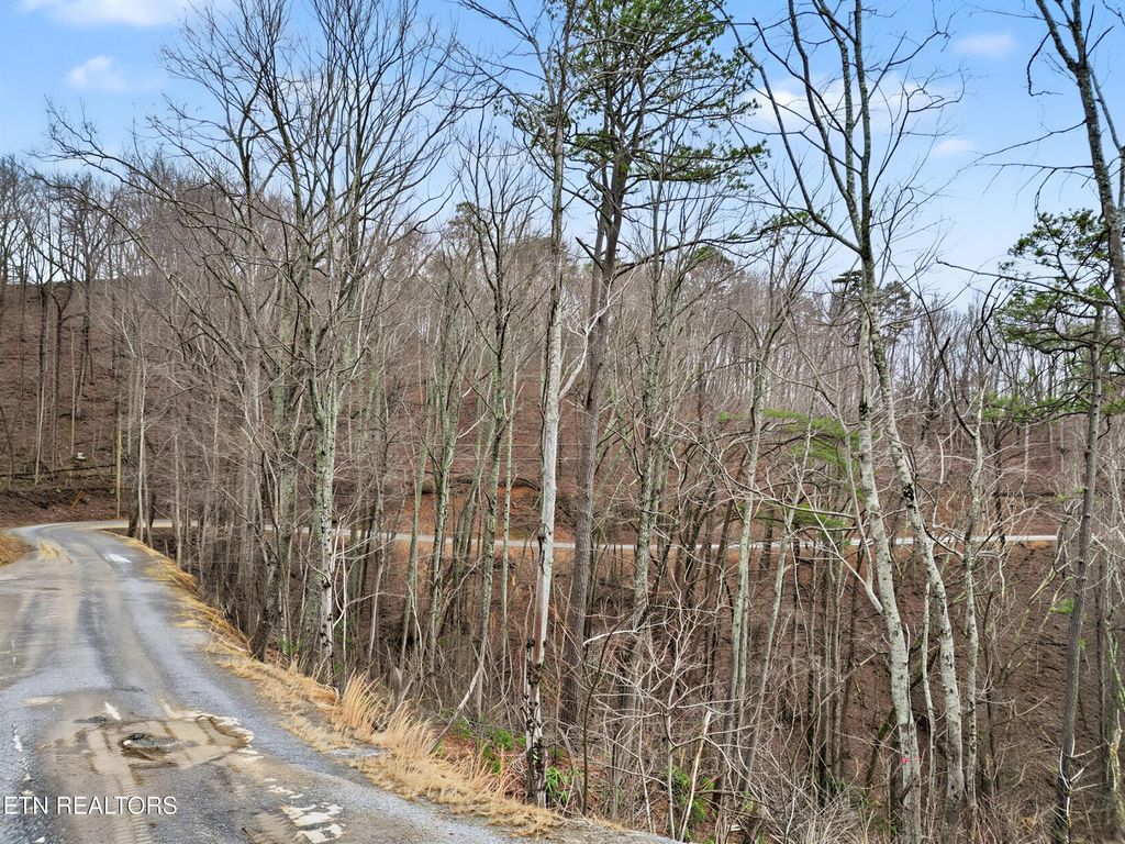 Photo of Sugar Maple Loop Rd, Sevierville, TN 37862 (MLS # 1330668)