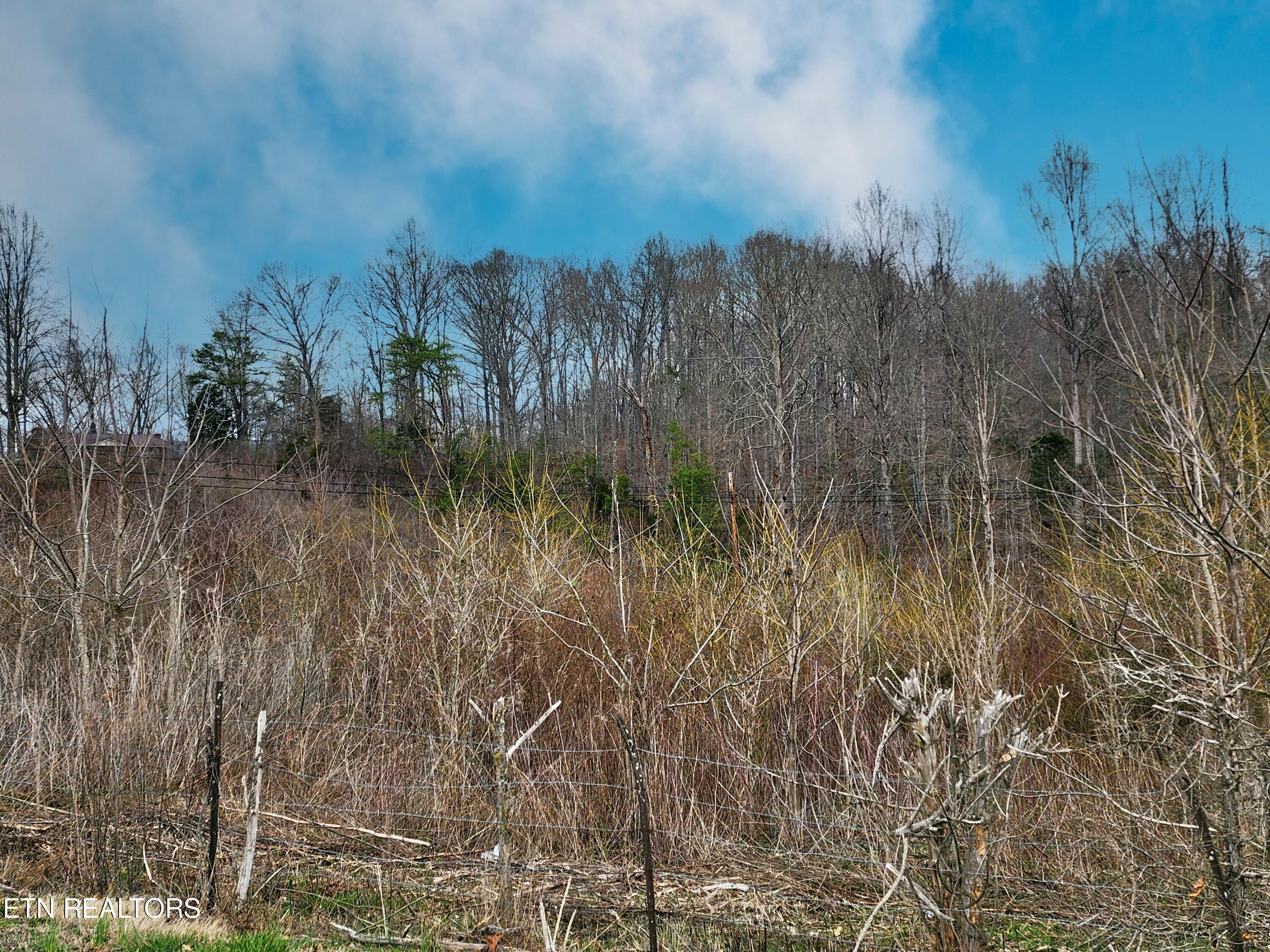 W High Knob Rd
