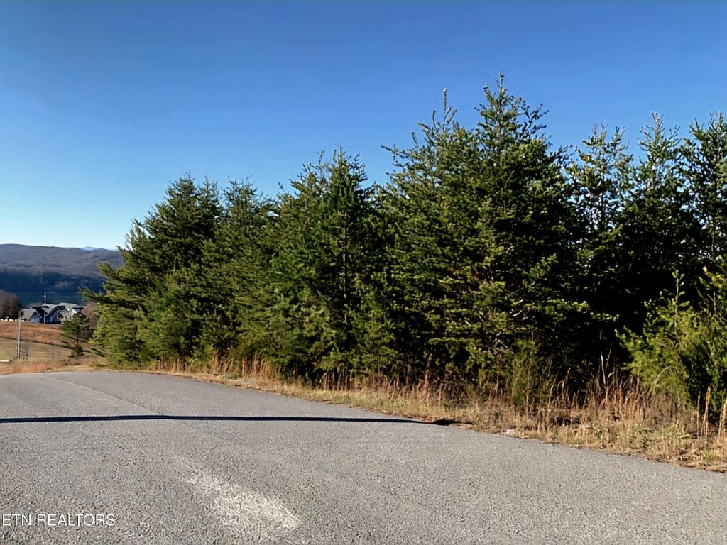 Photo of Panoramic, Maynardville, TN 37807 (MLS # 1284755)