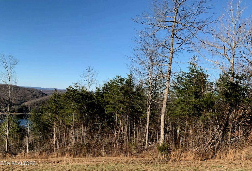Photo of Panoramic, Maynardville, TN 37807 (MLS # 1284755)