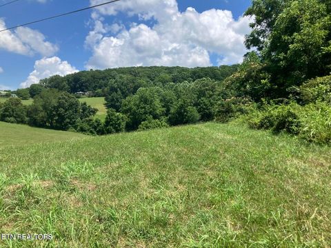 Tiny photo for 1502 Harmon Rd, New Tazewell, TN 37825 (MLS # 1342866)