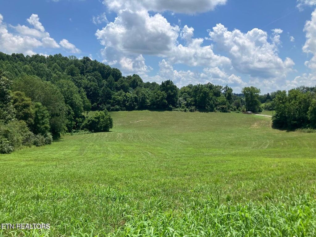 Photo of 1502 Harmon Rd, New Tazewell, TN 37825 (MLS # 1342866)