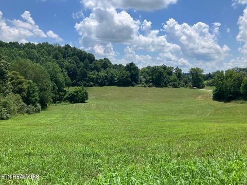 Photo of 1502 Harmon Rd, New Tazewell, TN 37825 (MLS # 1342866)