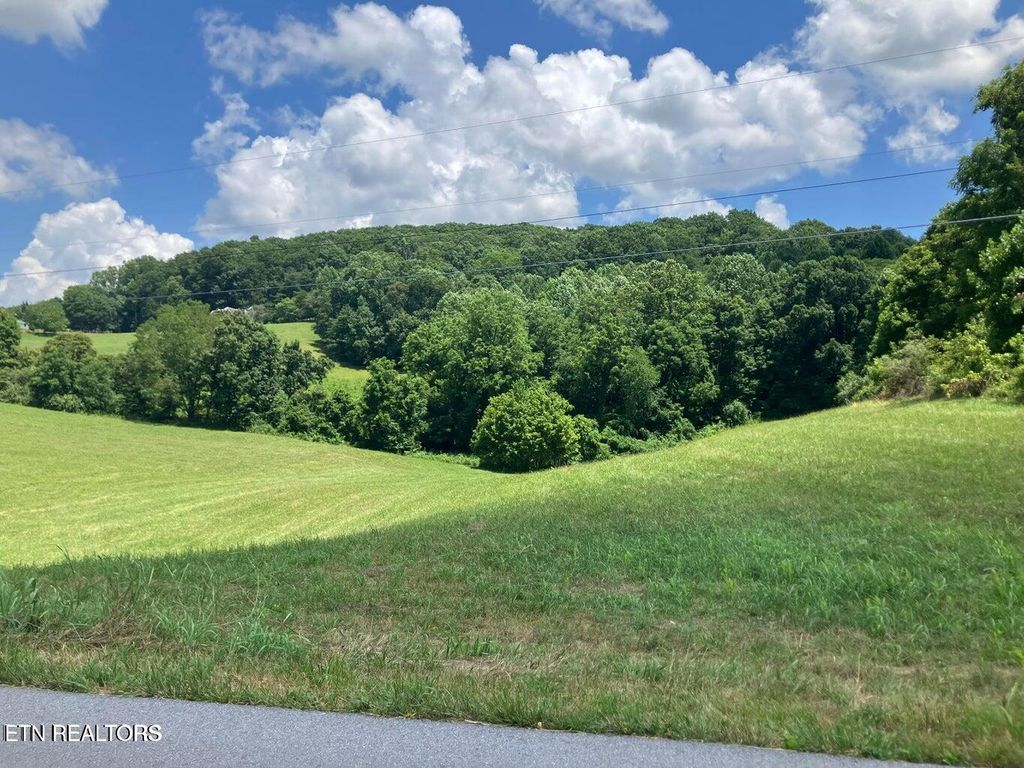 Photo of 1502 Harmon Rd, New Tazewell, TN 37825 (MLS # 1342866)