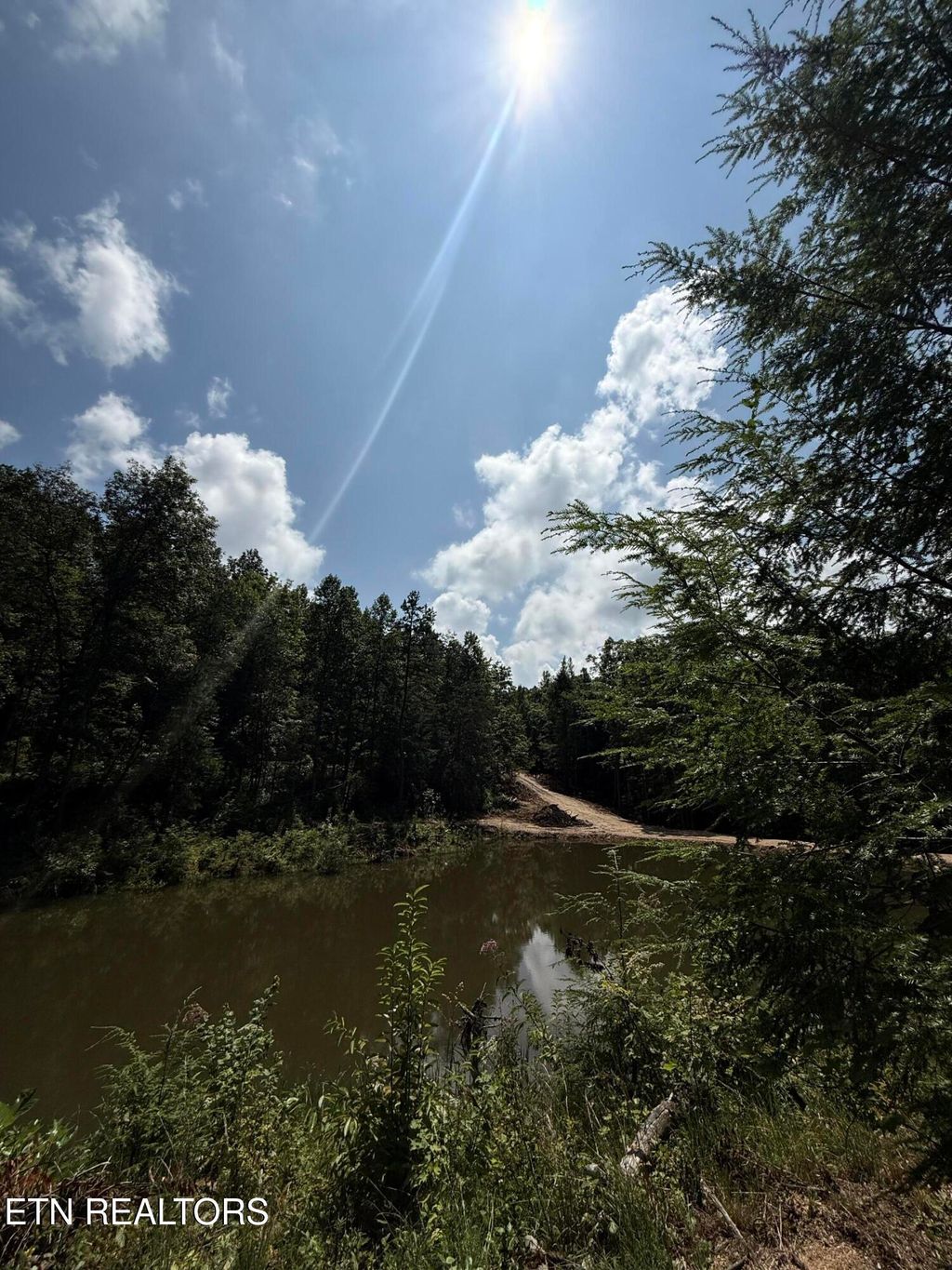 Photo of 1055 Big Four Rd, LaFollette, TN 37766 (MLS # 1314491)