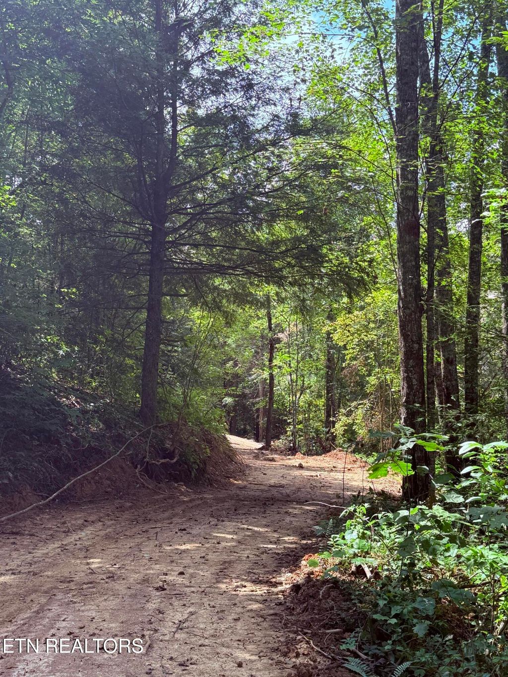 Photo of 1055 Big Four Rd, LaFollette, TN 37766 (MLS # 1314491)