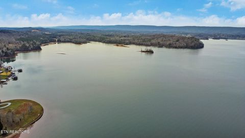 Tiny photo for 1325 Torbett Rd, Spring City, TN 37381 (MLS # 1332892)