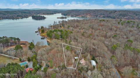Tiny photo for 1325 Torbett Rd, Spring City, TN 37381 (MLS # 1332892)