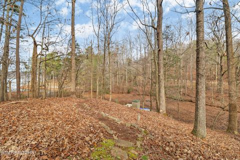 Tiny photo for 1325 Torbett Rd, Spring City, TN 37381 (MLS # 1332892)