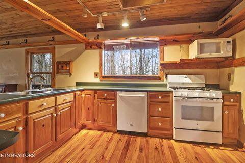 Tiny photo for 1325 Torbett Rd, Spring City, TN 37381 (MLS # 1332892)