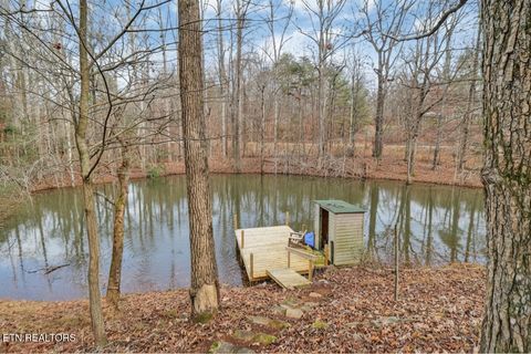 Tiny photo for 1325 Torbett Rd, Spring City, TN 37381 (MLS # 1332892)