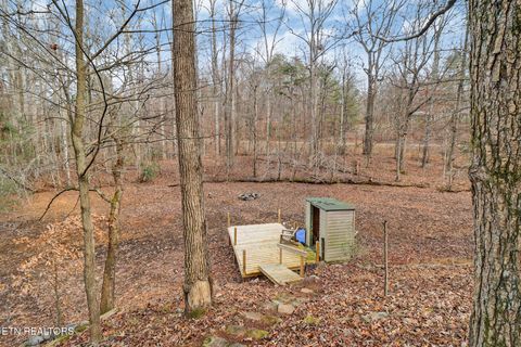 Tiny photo for 1325 Torbett Rd, Spring City, TN 37381 (MLS # 1332892)