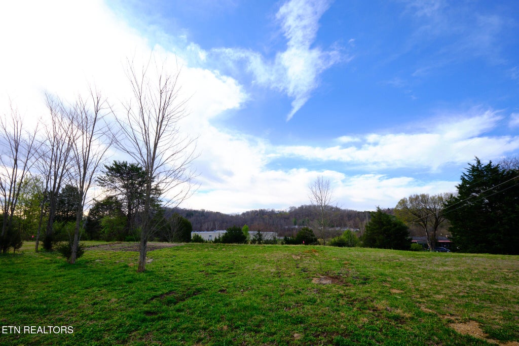 Photo of 254 Moore Drive #Lot 1-C-R-3A, Kodak, TN 37764 (MLS # 1353909)