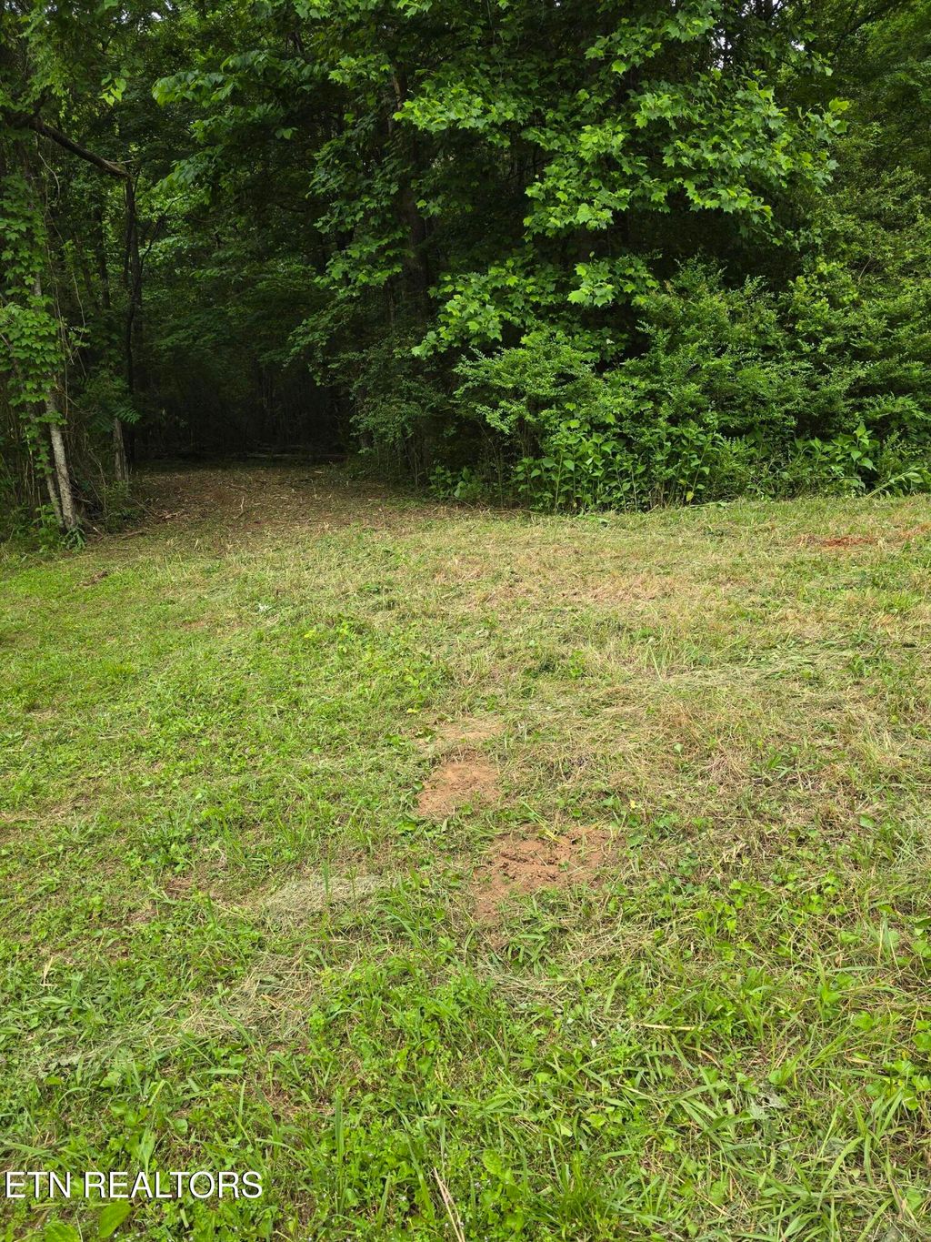 Photo of Miser School Rd, Friendsville, TN 37737 (MLS # 1288202)
