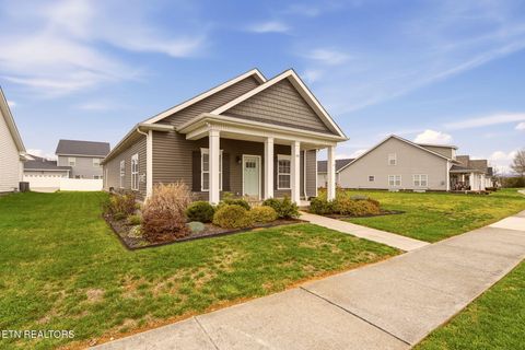 Tiny photo for 141 Hardinberry St, Oak Ridge, TN 37830 (MLS # 1333807)