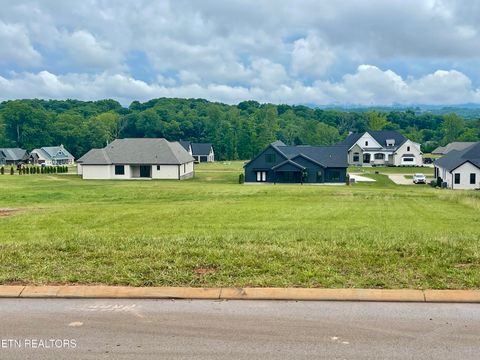 Photo of 1234 Kellys View Drive, Greenback, TN 37742 (MLS # 1341870)