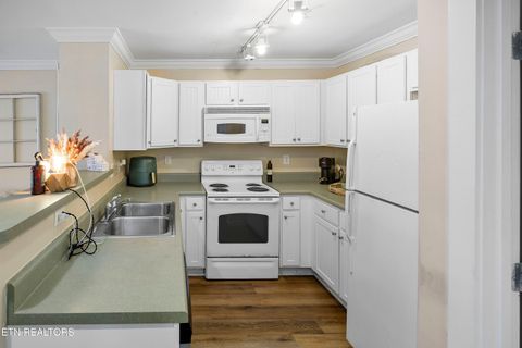 Tiny photo for 3831 Cherokee Woods Way #203, Knoxville, TN 37920 (MLS # 1325316)