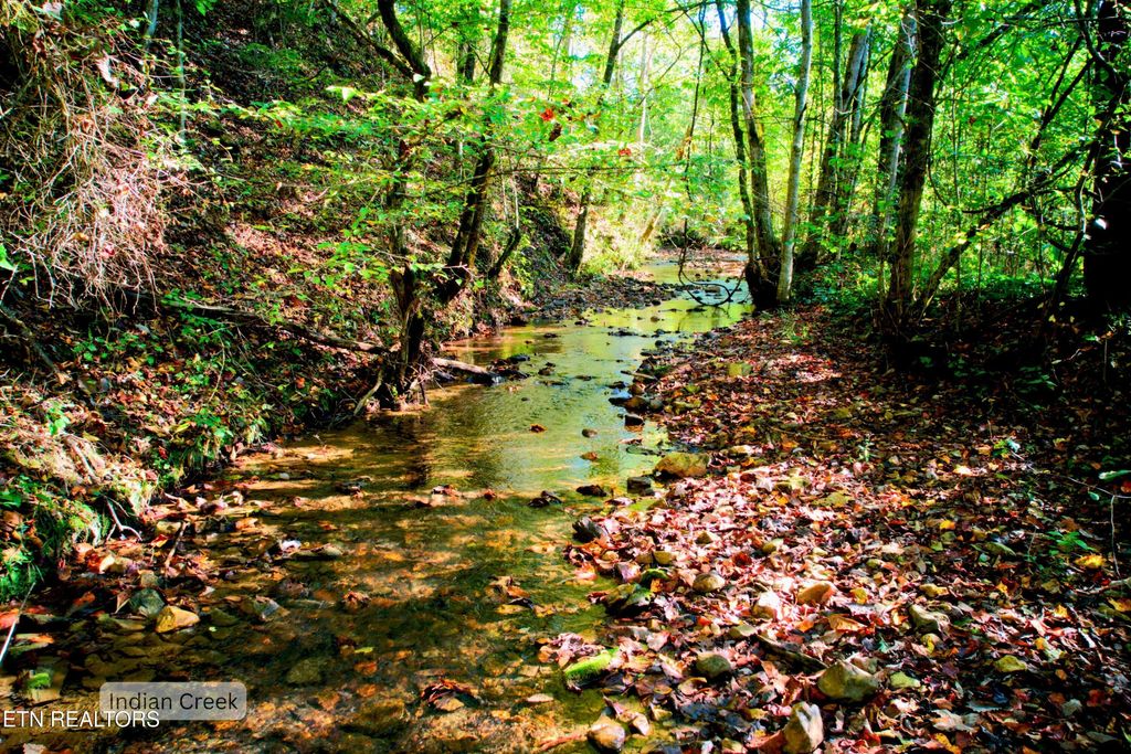 Photo of 6 Upper Rinehart Rd, Dandridge, TN 37725 (MLS # 1333395)