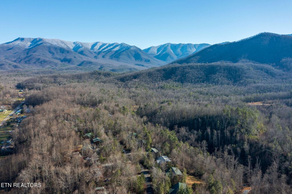 Photo of 213222223 Amet Way, Cosby, TN 37722 (MLS # 1326467)