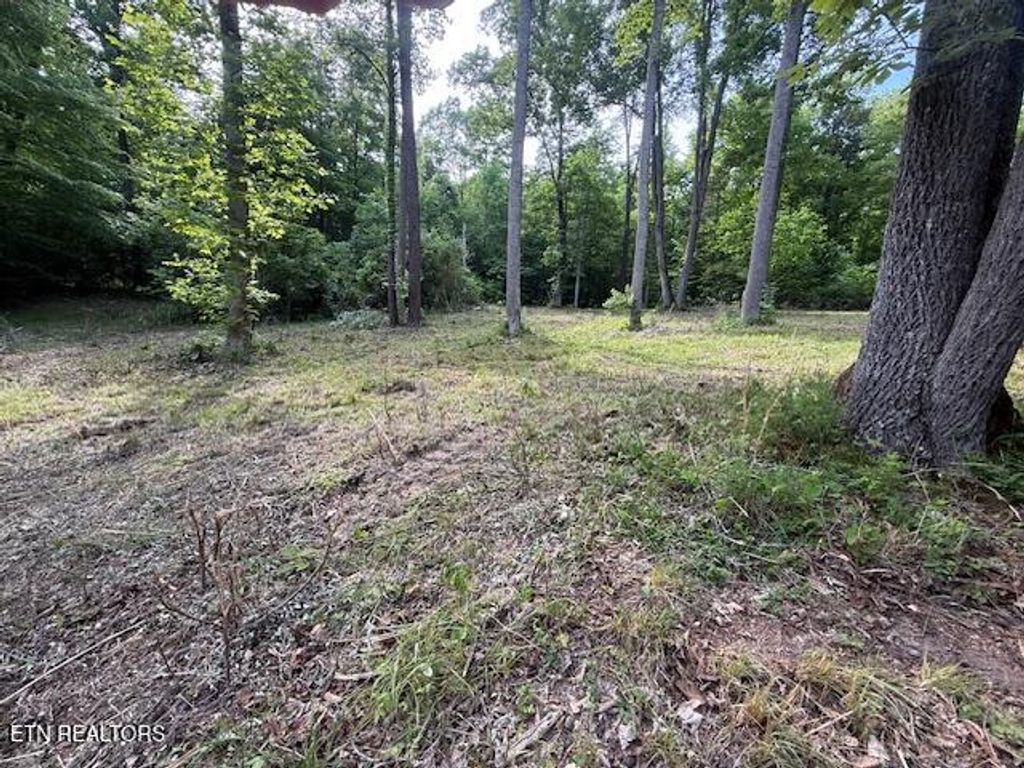 Photo of Hwy 70 RD, Blackwater, VA 24221 (MLS # 1342227)