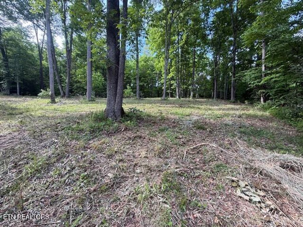 Photo of Hwy 70 RD, Blackwater, VA 24221 (MLS # 1342227)