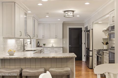 Tiny photo for 501 Crippled Mule Point, Knoxville, TN 37934 (MLS # 1336516)