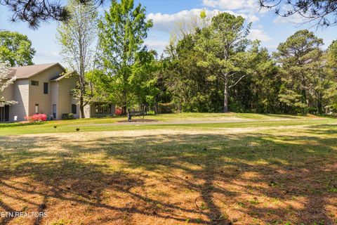 Tiny photo for 501 Crippled Mule Point, Knoxville, TN 37934 (MLS # 1336516)