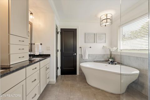 Tiny photo for 501 Crippled Mule Point, Knoxville, TN 37934 (MLS # 1336516)