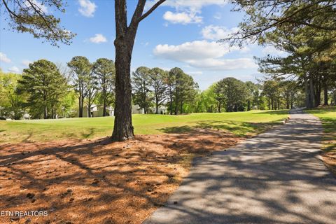 Tiny photo for 501 Crippled Mule Point, Knoxville, TN 37934 (MLS # 1336516)