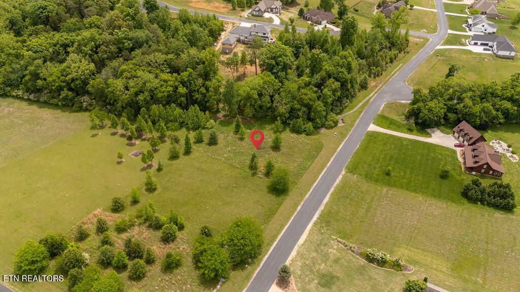 Photo of 275 W Shore Drive, Rockwood, TN 37854 (MLS # 1340383)