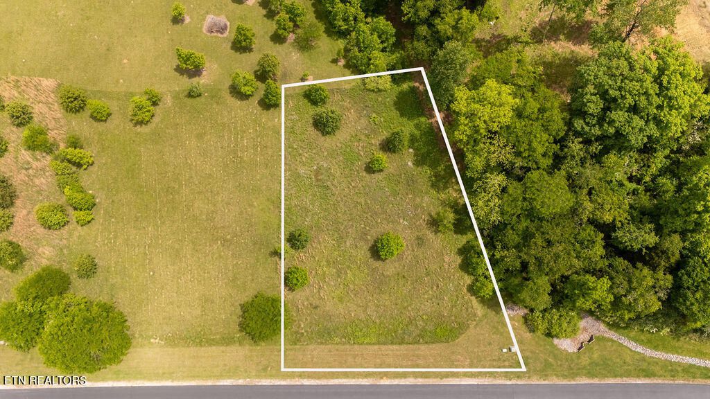 Photo of 275 W Shore Drive, Rockwood, TN 37854 (MLS # 1340383)