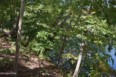 Tiny photo for 1758 N Wilkerson Rd, Knoxville, TN 37922 (MLS # 1328680)