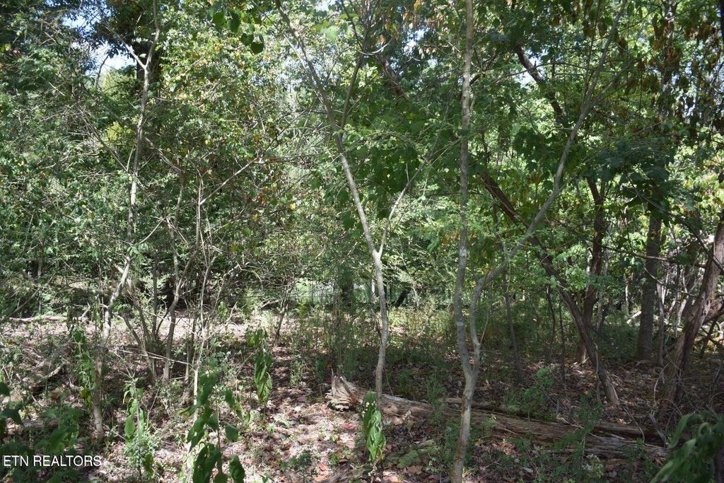 Photo of 1758 N Wilkerson Rd, Knoxville, TN 37922 (MLS # 1328680)