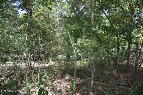 Tiny photo for 1758 N Wilkerson Rd, Knoxville, TN 37922 (MLS # 1328680)