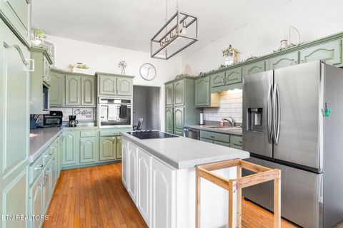 Tiny photo for 639 Richland Creek Drive, Blaine, TN 37709 (MLS # 1325894)