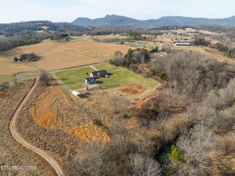 Tiny photo for 639 Richland Creek Drive, Blaine, TN 37709 (MLS # 1325894)