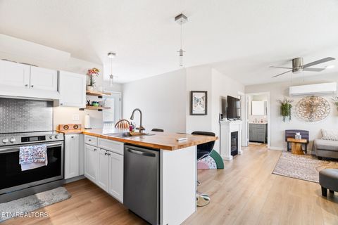 Tiny photo for 639 Richland Creek Drive, Blaine, TN 37709 (MLS # 1325894)