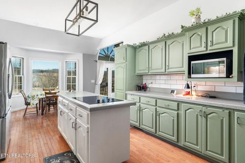 Tiny photo for 639 Richland Creek Drive, Blaine, TN 37709 (MLS # 1325894)