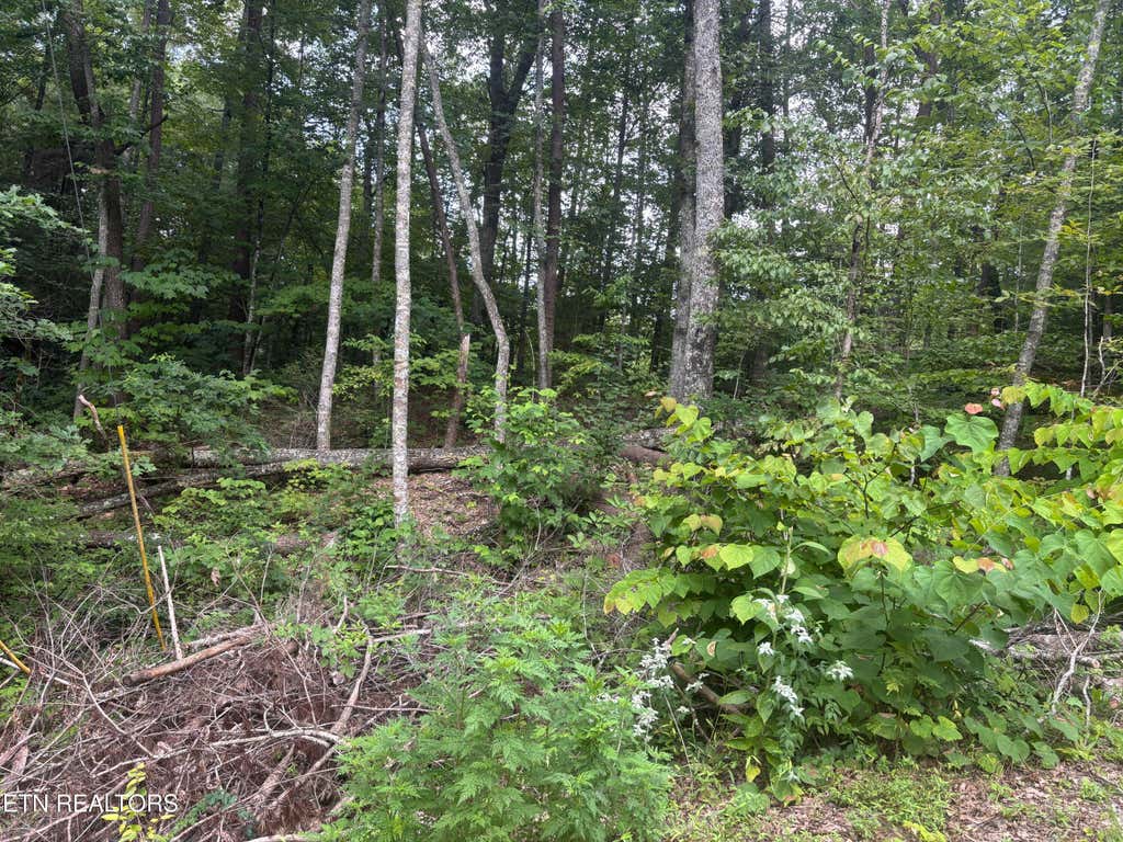 Photo of 1146 Pine Mountain Rd, Pigeon Forge, TN 37862 (MLS # 1347223)