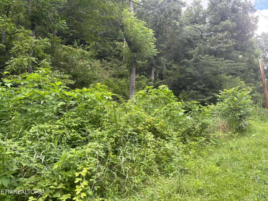 Photo of 1146 Pine Mountain Rd, Pigeon Forge, TN 37862 (MLS # 1347223)