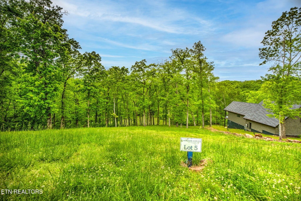 Photo of Waterfront Way #LOT 5, Ten Mile, TN 37880 (MLS # 1299410)