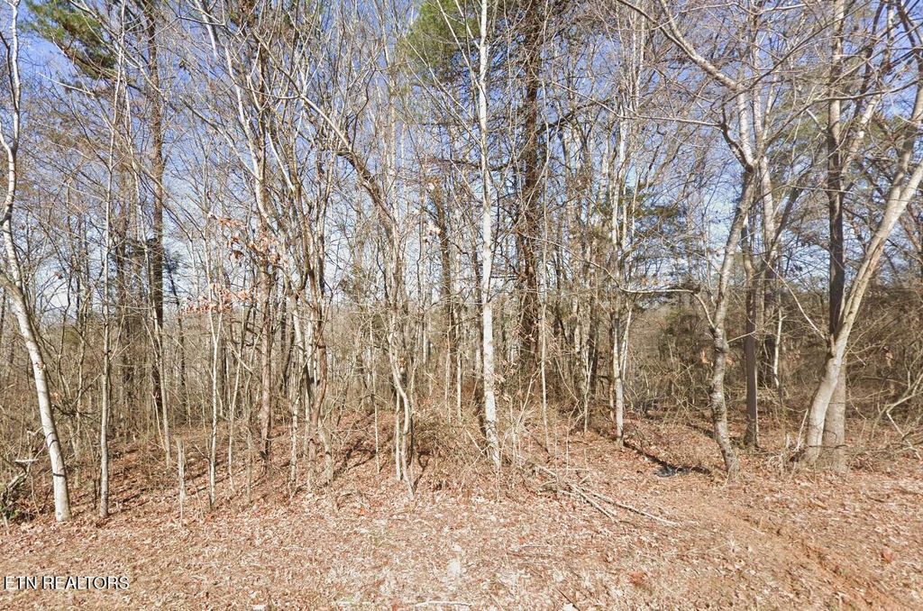 Photo of 113 Chanusi Way, Loudon, TN 37774 (MLS # 1301980)