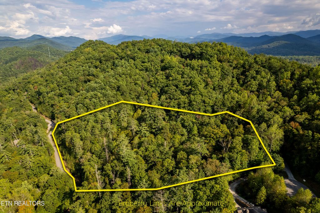 Photo of 803 Tanasi Trail Trl, Townsend, TN 37882 (MLS # 1279019)