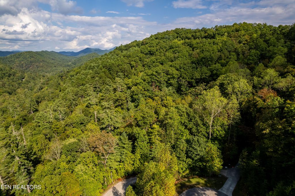 Photo of 803 Tanasi Trail Trl, Townsend, TN 37882 (MLS # 1279019)