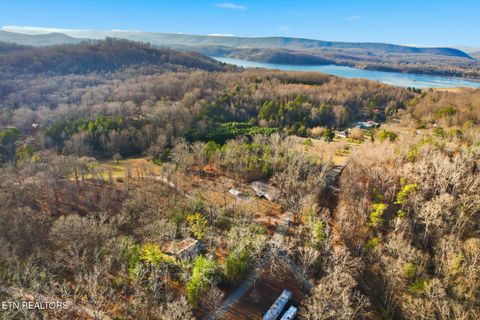 Tiny photo for 840 Eagle Furnace Rd, Rockwood, TN 37854 (MLS # 1325819)