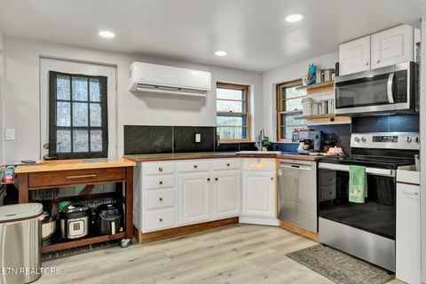 Tiny photo for 840 Eagle Furnace Rd, Rockwood, TN 37854 (MLS # 1325819)