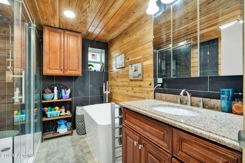 Tiny photo for 840 Eagle Furnace Rd, Rockwood, TN 37854 (MLS # 1325819)